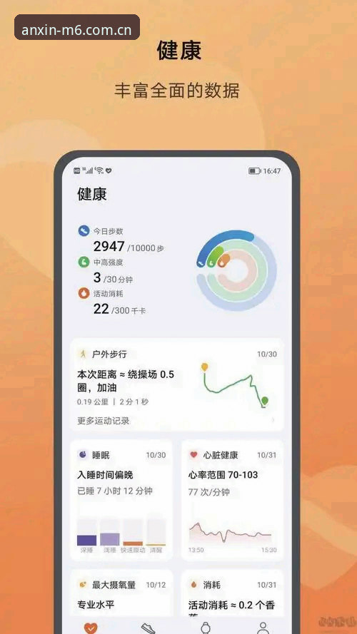 M6体育APP入口评测详解：功能、下载与使用全指南